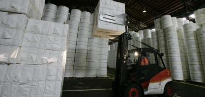 Preço da celulose dificulta retorno para produtores