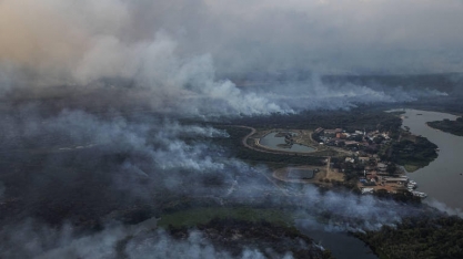 Incêndios: Pantanal já perdeu 10% de toda a sua cobertura vegetal em 2020