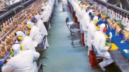 Filipinas proíbem frango do Brasil por medo de coronavírus