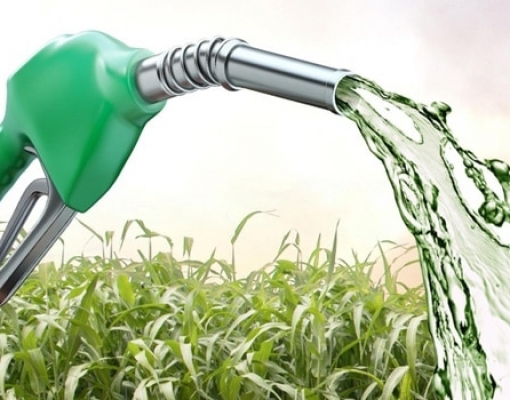 Etanol: Análise Conjuntural Agromensal Cepea/Esalq/USP Julho/2020