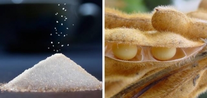 Exportação do agronegócio avança para US$10 bi em julho puxada pela China