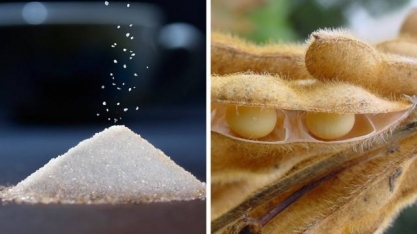 Exportação do agronegócio avança para US$10 bi em julho puxada pela China