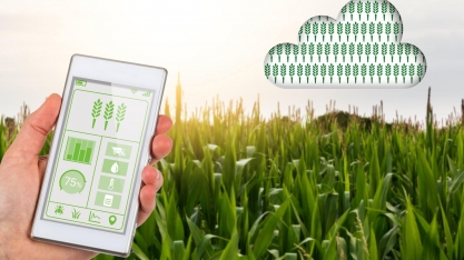 IoT, Big Data e Inteligência Artificial no Agronegócio