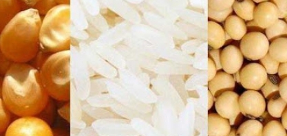 Retirada temporária de tarifas de importação de soja, arroz e milho
