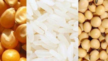 Retirada temporária de tarifas de importação de soja, arroz e milho