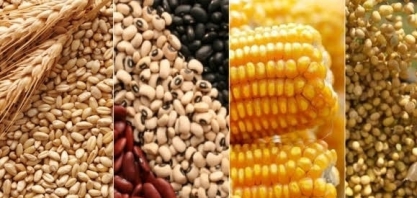 Grãos: ICG eleva previsão de safra global 2020/21 em 5 mi de t