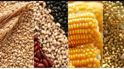 Grãos: ICG eleva previsão de safra global 2020/21 em 5 mi de t