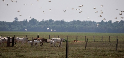 Brasil pode ganhar R$ 2,8 trilhões com 'economia verde', diz estudo