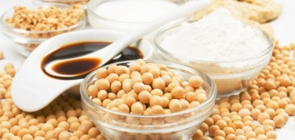 Exportações de soja e açúcar no mês já superam agosto de 2019