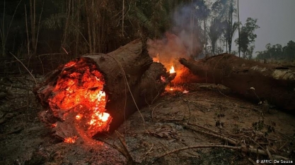 Análise: Brasil, um ano no foco da crítica ambiental mundial