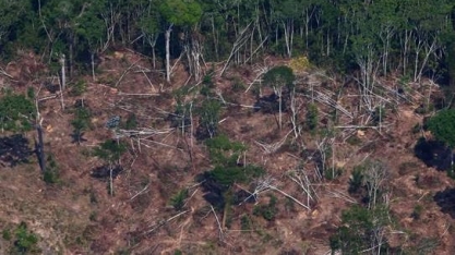 Pesquisadores rebatem argumentos do agronegócio sobre estudo da Science