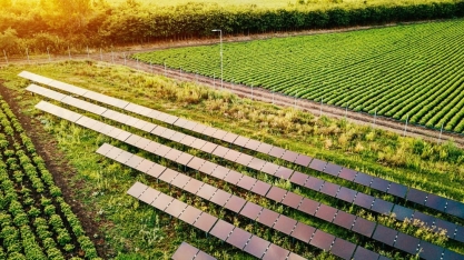 Sob pressão, agronegócio procura aumentar credibilidade