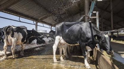 Agronegócio alivia crise no Brasil e será fundamental na retomada 