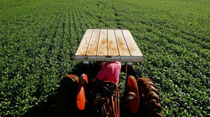 O ‘fim’ do agronegócio – Por J.R.Guzzo