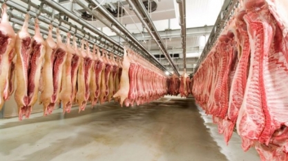 Importações de carne suína pela China em julho têm recorde de 430 mil t