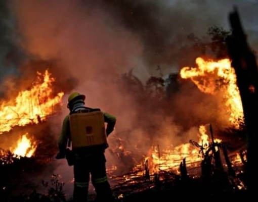 Congresso começa a tocar agenda verde para dar 'resposta' a Bolsonaro