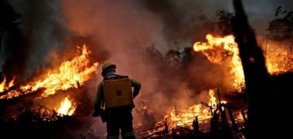 Congresso começa a tocar agenda verde para dar 'resposta' a Bolsonaro