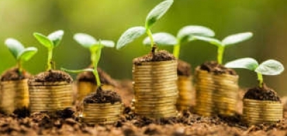 PIB agropecuário em 2021 deve ter crescimento de 3,2%, diz Ipea