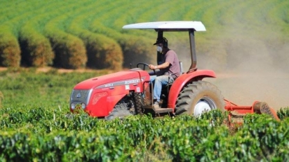 Agropecuária perde 391 mil empregos com a Covid-19