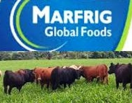 Marfrig tem lucro de R$1,59 bi no 2º tri, com China e melhora operacional 