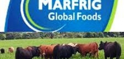 Marfrig tem lucro de R$1,59 bi no 2º tri, com China e melhora operacional 