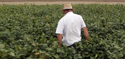 Governo eleva a R$742,4 bi previsão para valor da produção agropecuária