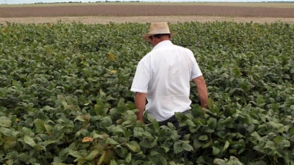 Governo eleva a R$742,4 bi previsão para valor da produção agropecuária