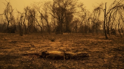 Agronegócio racha, e efeitos da cisão recaem sobre o próprio setor