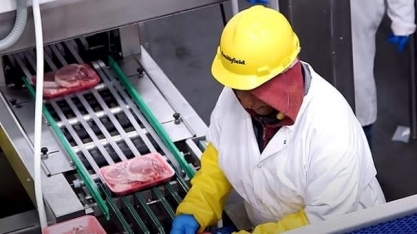 Maior produtora global de carne suína promete zerar emissões