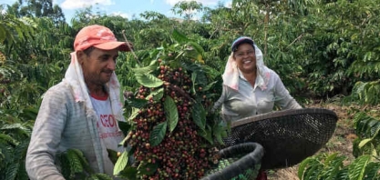 Brasil acelera exportações de café para ritmo recorde