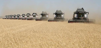 Chuvas na Argentina reanimam o trigo e ajudam no plantio de milho