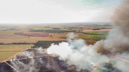 Tempo seco e incêndios ameaçam safra de cana do Brasil em 2021