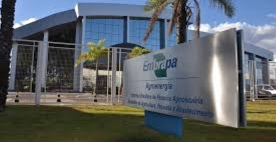 Embrapa Agroenergia coordena agenda estratégica para açúcar e álcool