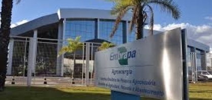 Embrapa Agroenergia coordena agenda estratégica para açúcar e álcool
