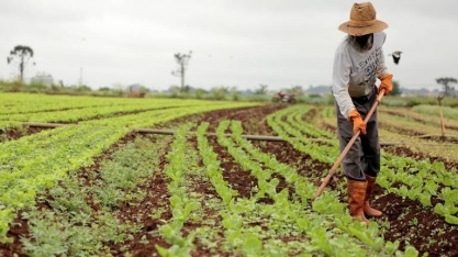 Covid-19 reduz população ocupada do agronegócio em 1,6 milhão