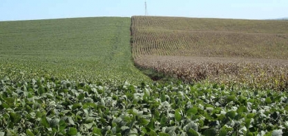 Governo vê valor da produção agropecuária em recorde de R$ 771,4 bi em 2020