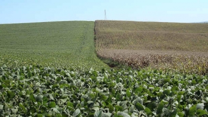 Governo vê valor da produção agropecuária em recorde de R$ 771,4 bi em 2020