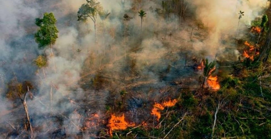 Incêndios florestais pelo mundo são os maiores em escala em 18 anos