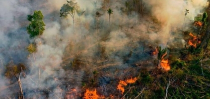 Incêndios florestais pelo mundo são os maiores em escala em 18 anos