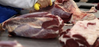 Importações de carne suína pela China em agosto dobram na comparação anual