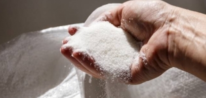 Açúcar: Análise conjuntural mensal agosto Cepea/Esalq/USP