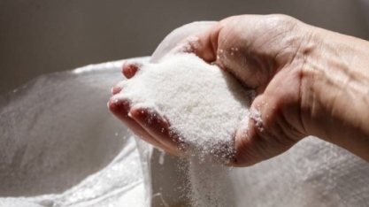 Açúcar: Análise conjuntural mensal agosto Cepea/Esalq/USP