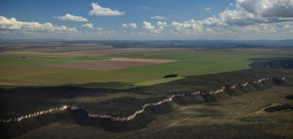 Grande produtora de soja deixará de desmatar cerrado ainda em 2020