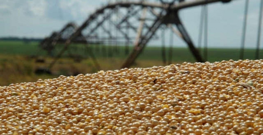 Anec vê alta em projeção de exportações de milho em setembro; reduz soja