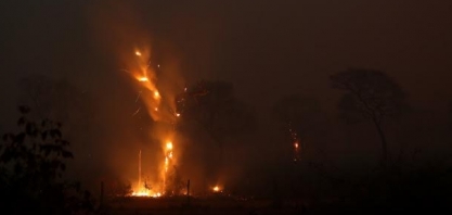 PF faz operação para encontrar responsáveis por queimadas no Pantanal