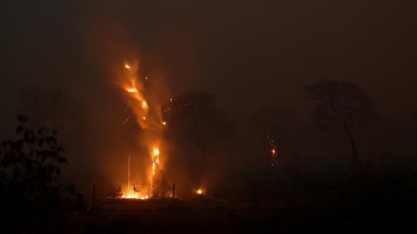 PF faz operação para encontrar responsáveis por queimadas no Pantanal
