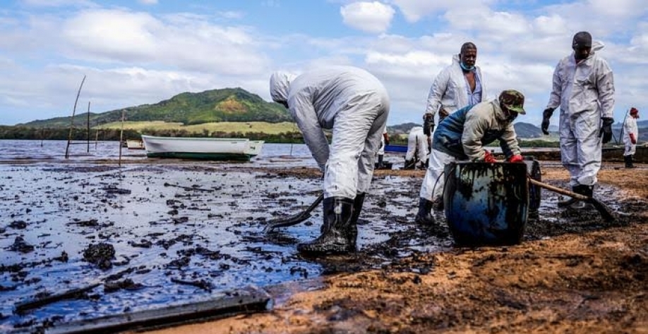 Mundo fracassou em cumprir metas para salvar a natureza, diz ONU