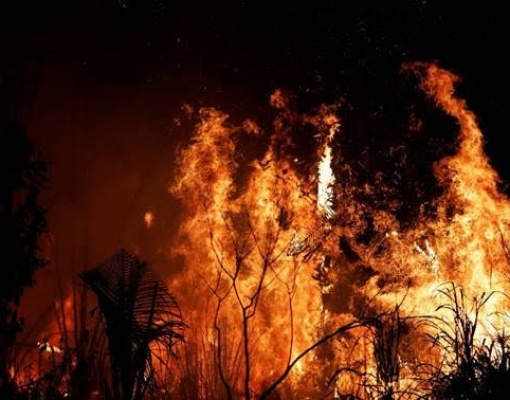 Amazônia tem segundo pior agosto de queimadas dos últimos dez anos