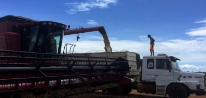  Demanda por fretes rodoviários no agro do Brasil acumula alta de 10% no ano