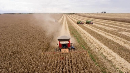 Agronegócio ajuda a segurar a arrecadação na pandemia